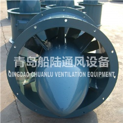 CLZ11-J Marine vertical axial fan