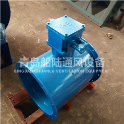 CBZ-30B Marine explosion-proof Axial flow blower