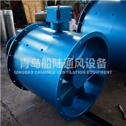 CBZ-70A Marine explosion-proof Axial fan