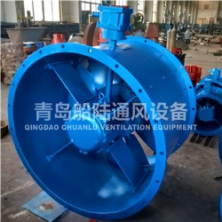 CBZ-100A Marine explosion-proof Axial flow fan