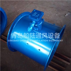 CBZ-100B Marine explosion-proof Axial flow blower