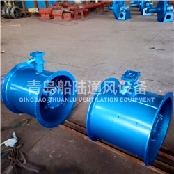 CBZ-40B Marine explosion-proof Axial flow blower