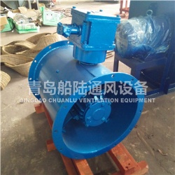 CBZ-50A Marine explosion-proof Axial fan