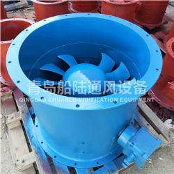 CBZ-80A Marine explosion-proof Axial flow blower