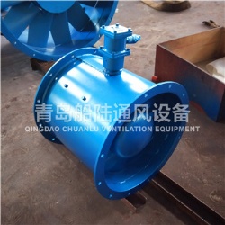 CBZ-80B Marine explosion-proof Axial ventilation fan