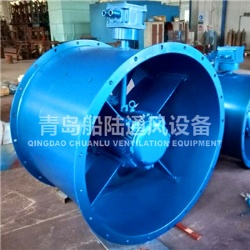 CBZ-100C Marine explosion-proof Axial flow fan