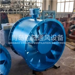 CBZ-110B Marine explosion-proof Axial flow blower