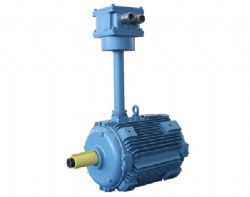 YBTX-H Series Explosion-proof Three Phase Marine Asynchronous Motor For Axial Flow Fan