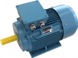 Y-H Series Three-phase Marine Electric motor