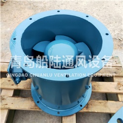 JCZ(CZ)-30A Marine Axial Flow Fans