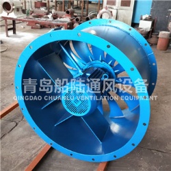 JCZ(CZ)-100A Marine Axial Flow Fans