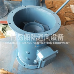 CZF-30A Marine Axial ventilation fan